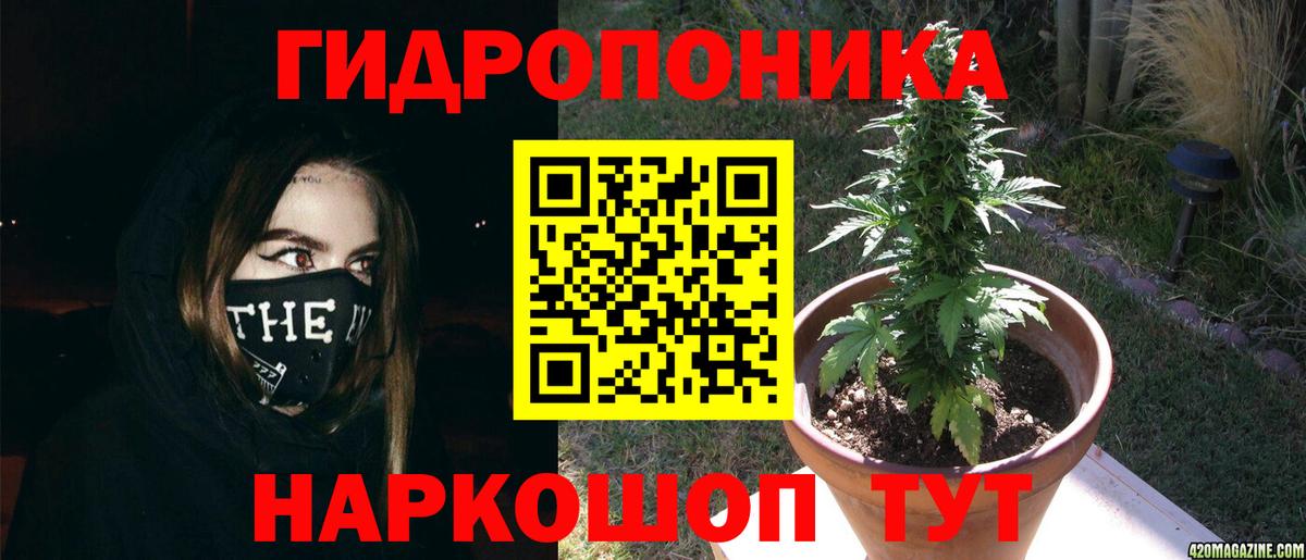 Бошки марихуана ГИДРОПОН Ликино-Дулёво